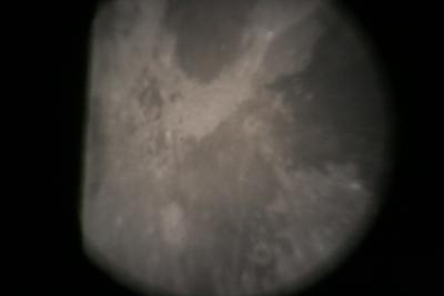 img_7340.jpg